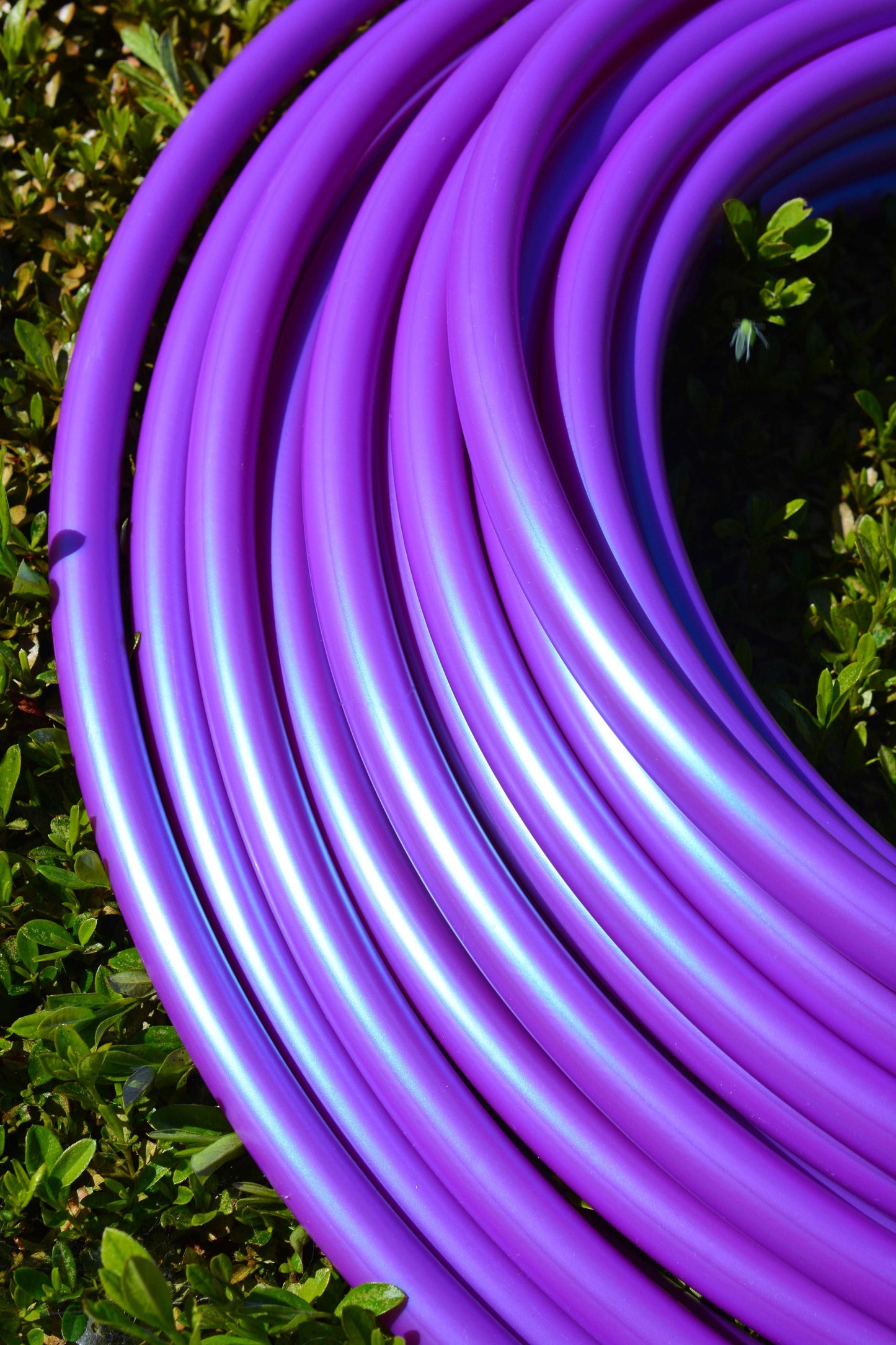 3/4 UV Tanzanite Color-Shift Colored Polypro Hoops