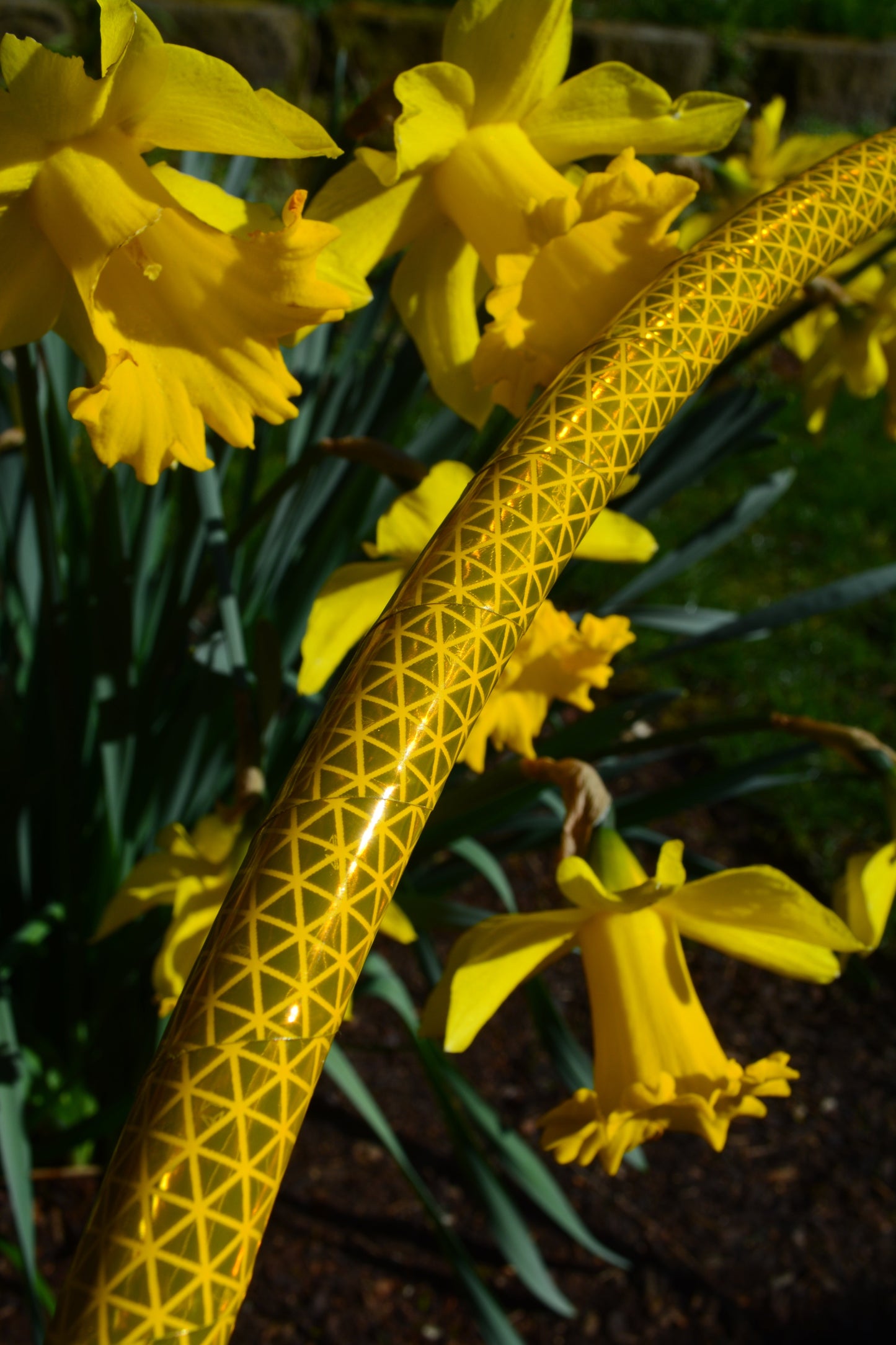Gold High Intensity Reflective Taped Hoops