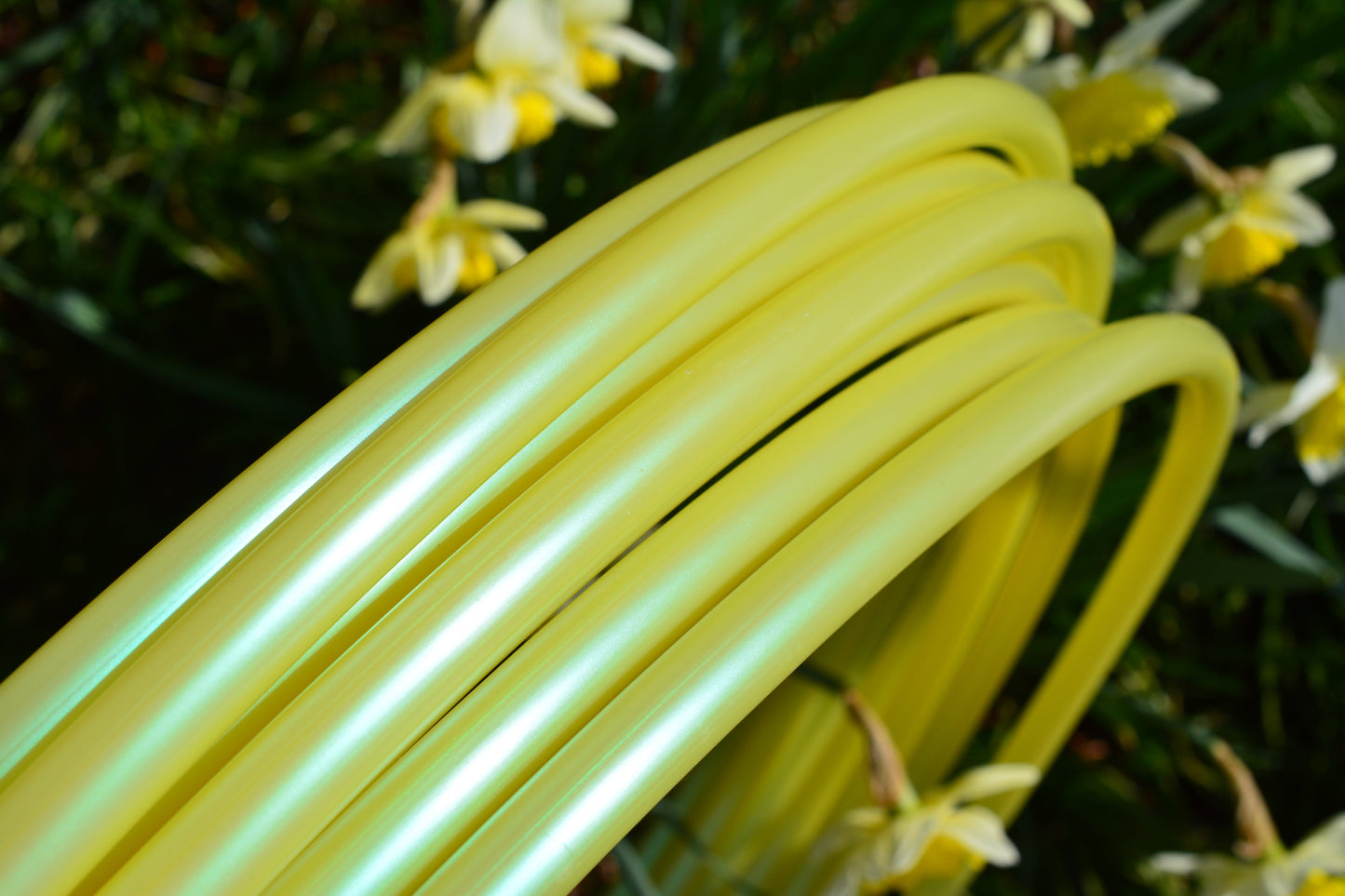 5/8 Lemon Lime Color-Shift Colored Polypro Hoops