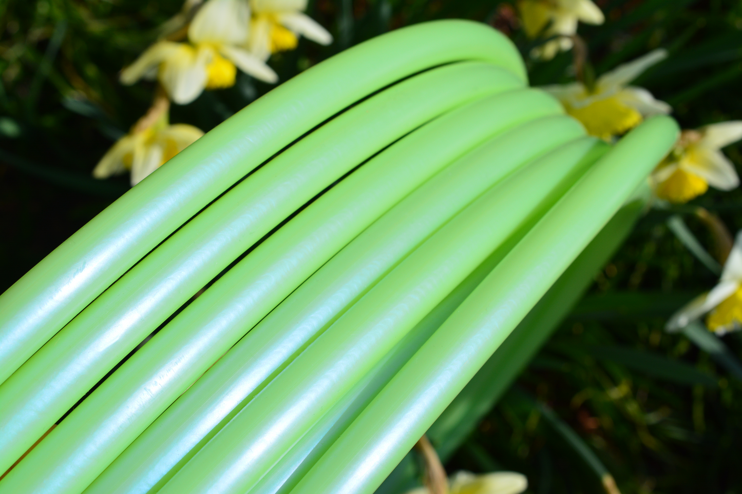 5/8 Green Cactus Color-Shift Colored Polypro Hoops